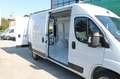 Fiat Ducato Maxi Serie 2 35 2.2 Mjt 140cv L3H2 PLM-TM Furgone Bianco - thumbnail 10