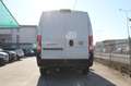 Fiat Ducato Maxi Serie 2 35 2.2 Mjt 140cv L3H2 PLM-TM Furgone Bianco - thumbnail 5