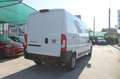 Fiat Ducato Maxi Serie 2 35 2.2 Mjt 140cv L3H2 PLM-TM Furgone Bianco - thumbnail 6