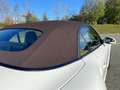 Porsche 911 Cabrio 3.8 Turbo S !!! APPROVED 111 PUNTI !!! PCCB Bianco - thumbnail 8