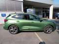 Ford Kuga ST Line 1,5 i Automatik  Winterpaket / FGS 5 Jahre Verde - thumbnail 9
