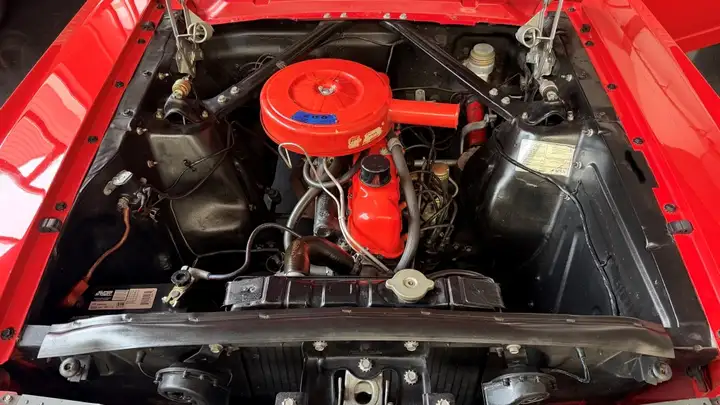 Ford Mustang 1965, foto 15