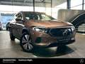 Mercedes-Benz EQA 250 EQA 250 Progressive PanoSD LED Keyl 360° Spiegel Gold - thumbnail 16
