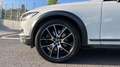 Volvo V90 Cross Country FAMILIAR 2.0 D4 4WD 5P Wit - thumbnail 16