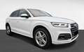 Audi Q5 2,0 TDI quattro sport S-tronic Weiß - thumbnail 4