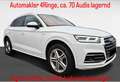 Audi Q5 2,0 TDI quattro sport S-tronic Weiß - thumbnail 1