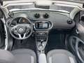 smart forTwo fortwo cabrio EQ PASSION+KAMERA+SHZ+PDC+DAB+15" BC Wit - thumbnail 11