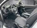 smart forTwo fortwo cabrio EQ PASSION+KAMERA+SHZ+PDC+DAB+15" BC Wit - thumbnail 9