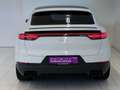 Porsche Cayenne Coupe*22 ZOLL*PANO*ACC*BOSE* Weiß - thumbnail 13