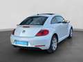 Volkswagen Beetle 1.4 TSI DESIGN XENON PANO NAVI SITZHZG Blanc - thumbnail 3