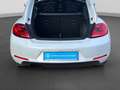 Volkswagen Beetle 1.4 TSI DESIGN XENON PANO NAVI SITZHZG Blanc - thumbnail 17