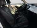 Volkswagen Beetle 1.4 TSI DESIGN XENON PANO NAVI SITZHZG Blanc - thumbnail 4