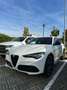 Alfa Romeo Stelvio 2.2 Turbodiesel 210 CV AT8 Q4 Veloce MATRIX 2023 Білий - thumbnail 1