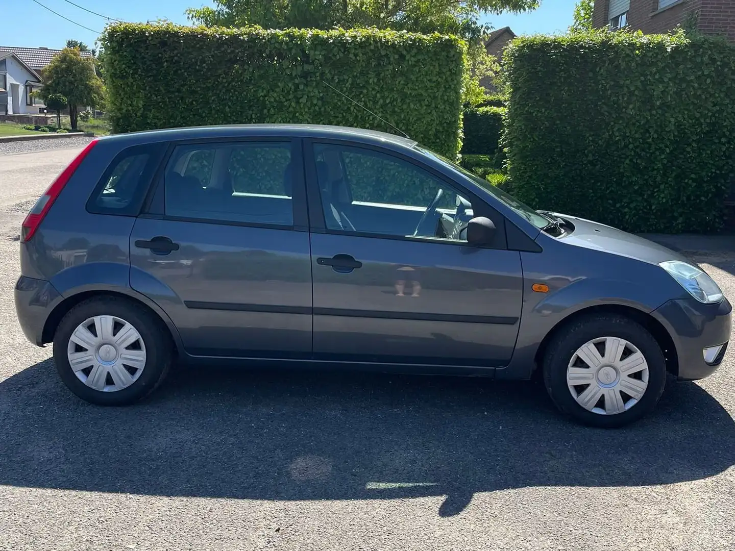 Ford Fiesta Fiesta 1.25 Viva Blauw - 1