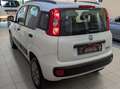 Fiat Panda Panda 0.9 t.air t. natural power Lounge 80cv E5+ Weiß - thumbnail 6