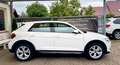 Audi A1 citycarver 35 TFSI virtual RKam | Shz. | Blanc - thumbnail 11