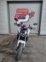 Ducati Monster 937 Blanc - thumbnail 4