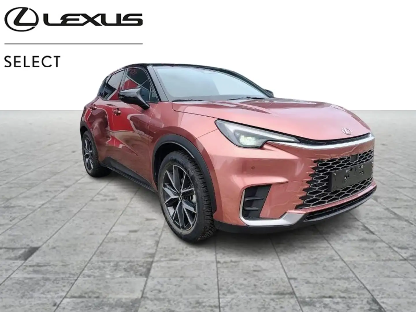 Lexus LBX Cool Brun - 1