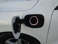 Ford Kuga 2,5 Duratec PHEV ST-Line X Aut. Weiß - thumbnail 12