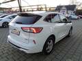 Ford Kuga 2,5 Duratec PHEV ST-Line X Aut. Weiß - thumbnail 7