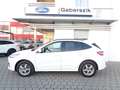 Ford Kuga 2,5 Duratec PHEV ST-Line X Aut. Weiß - thumbnail 2