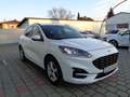 Ford Kuga 2,5 Duratec PHEV ST-Line X Aut. Weiß - thumbnail 8