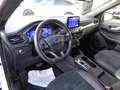 Ford Kuga 2,5 Duratec PHEV ST-Line X Aut. Weiß - thumbnail 13