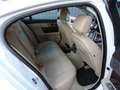 Jaguar XF 3.0 V6 Diesel Luxury !!!!!83.000Km!!!! Weiß - thumbnail 12