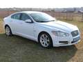 Jaguar XF 3.0 V6 Diesel Luxury !!!!!83.000Km!!!! Weiß - thumbnail 3