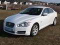 Jaguar XF 3.0 V6 Diesel Luxury !!!!!83.000Km!!!! Weiß - thumbnail 1