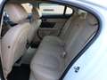 Jaguar XF 3.0 V6 Diesel Luxury !!!!!83.000Km!!!! Weiß - thumbnail 10