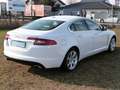 Jaguar XF 3.0 V6 Diesel Luxury !!!!!83.000Km!!!! Weiß - thumbnail 5
