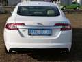 Jaguar XF 3.0 V6 Diesel Luxury !!!!!83.000Km!!!! Weiß - thumbnail 6