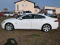 Jaguar XF 3.0 V6 Diesel Luxury !!!!!83.000Km!!!! Weiß - thumbnail 8