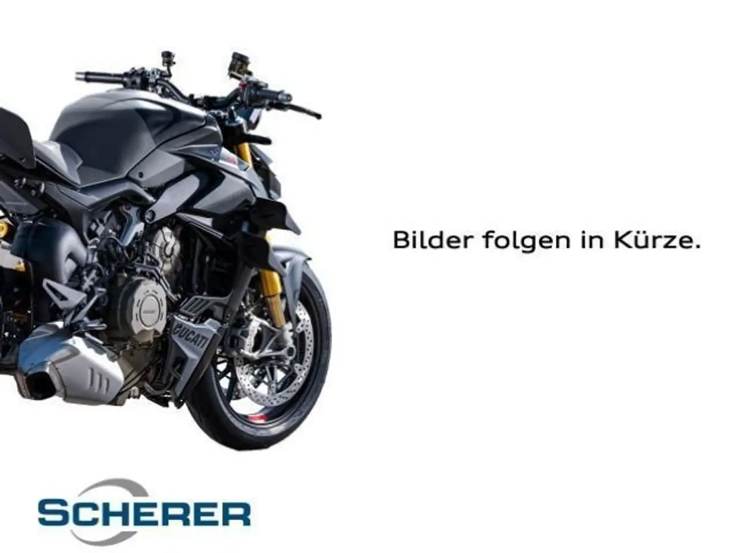 Ducati XDiavel - Rizoma Kennzeichenträger, Service neu, Szary - 1