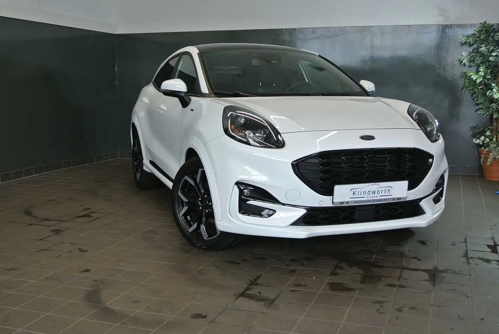 Ford Puma 1.0 E.Boost Hybrid ST-Line X +AHK+Pano+B&O Weiß - 2