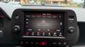 Fiat Panda Cross 1.0 FIREFLY S&S HYBRID CITY CROSS*USB*CARPLA Grau - thumbnail 9