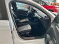 Opel Corsa Corsa F 1.2 Edition Allwetter Sitzheizung Blanc - thumbnail 14