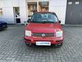 Fiat Panda Panda 1.2 Dynamic Rouge - thumbnail 1