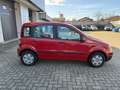 Fiat Panda Panda 1.2 Dynamic Rouge - thumbnail 5