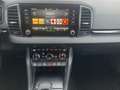 Skoda Karoq 4x4 Selection TDI DSG Blau - thumbnail 13