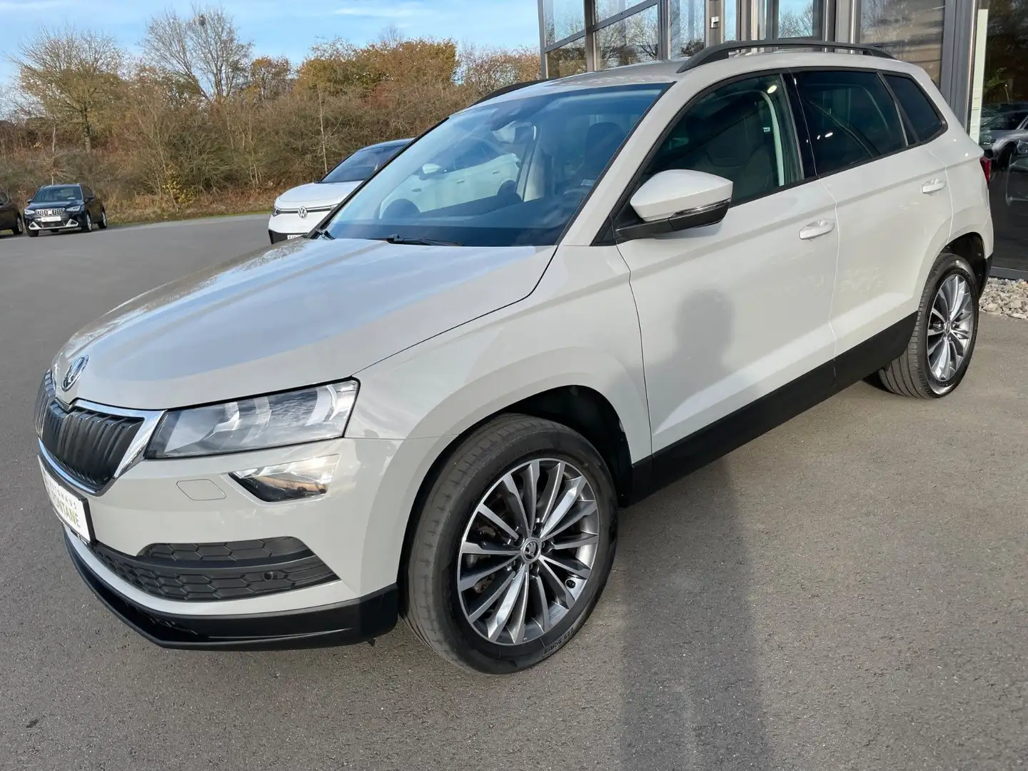 Skoda Karoq 2,0TDi Ambition 4x4 DSG Navi AHK Sitzhz Grau - 1