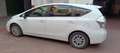 Toyota Prius+ Prius+ III 2012 1.8h Active ecvt Weiß - thumbnail 1