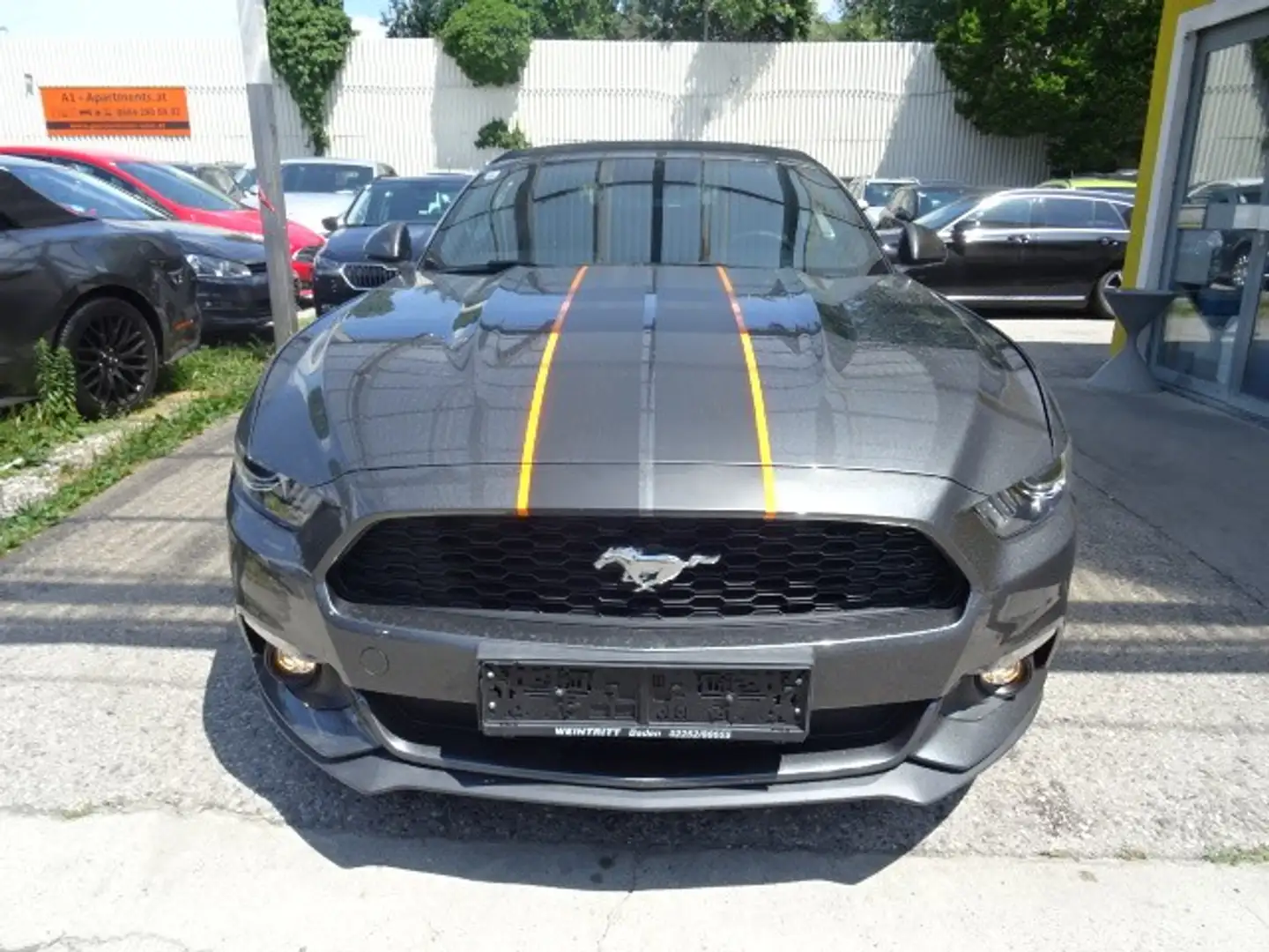 Ford Mustang 2,3 EcoBoost Cabrio Aut. Grau - 2