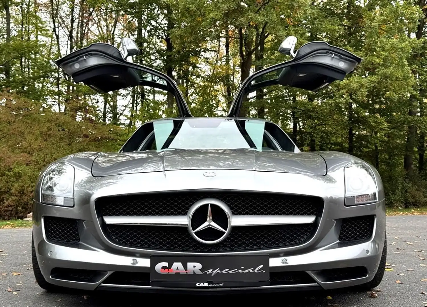 Mercedes-Benz SLS SLS AMG Gullwing Coupe  Carbon Paket Interieur Grau - 1
