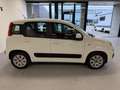 Fiat Panda 0.9 TwinAir Lounge AIRCO/NAP/BLUETOOTH Wit - thumbnail 6