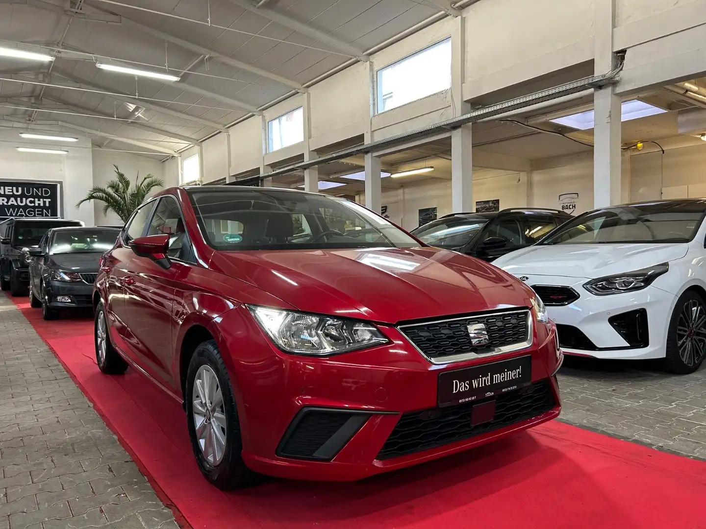 SEAT Ibiza Style*1.HAND*RFK*TEMP*PDC*PANO* Rot - 2