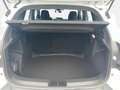 Dacia Duster Expression TCe 130 Weiß - thumbnail 14
