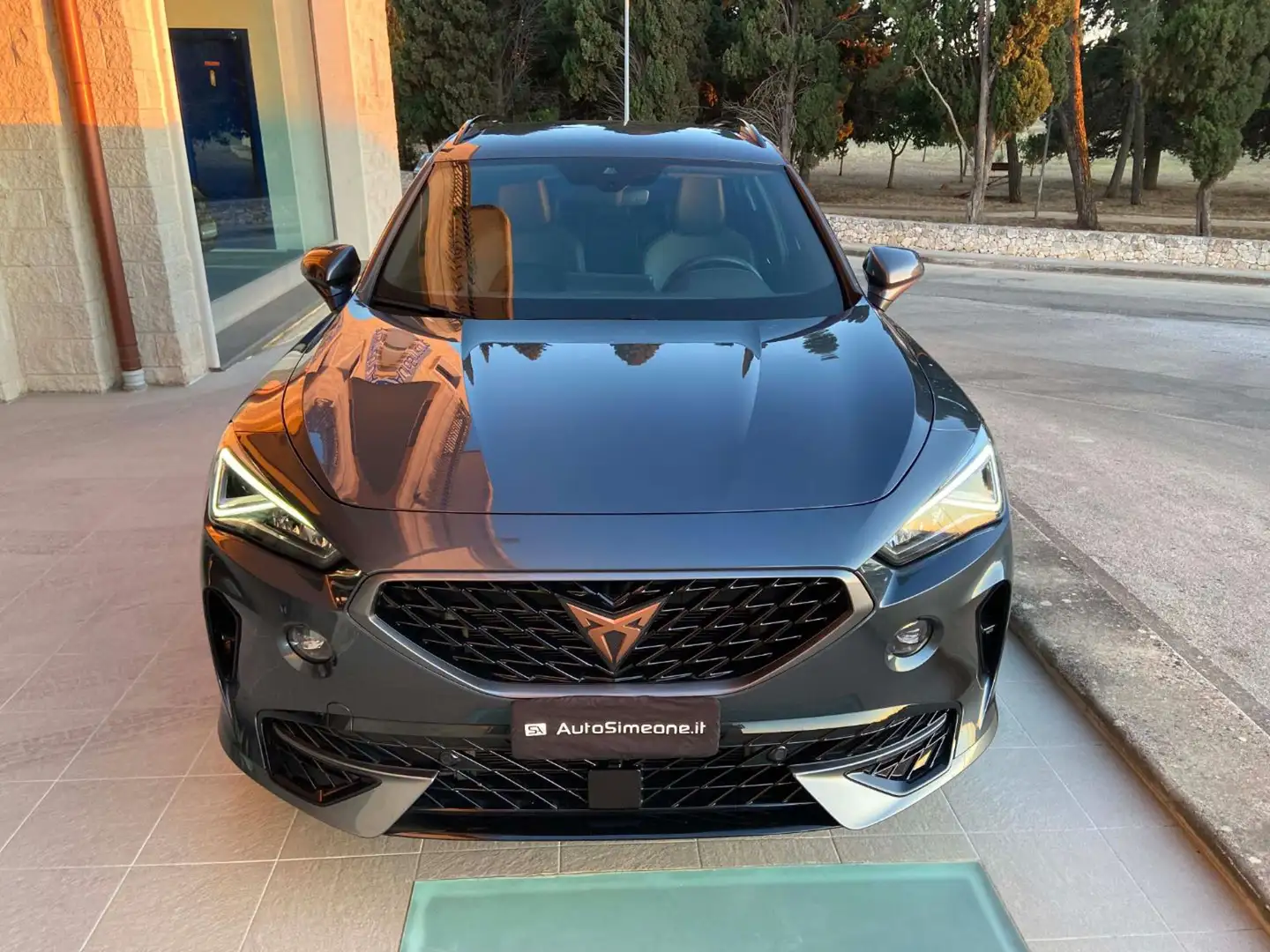 CUPRA Formentor 2.0 TDI 150 CV 4Drive DSG Grigio - 2