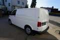 Volkswagen T6 Transporter Kasten *MWST* Weiß - thumbnail 3